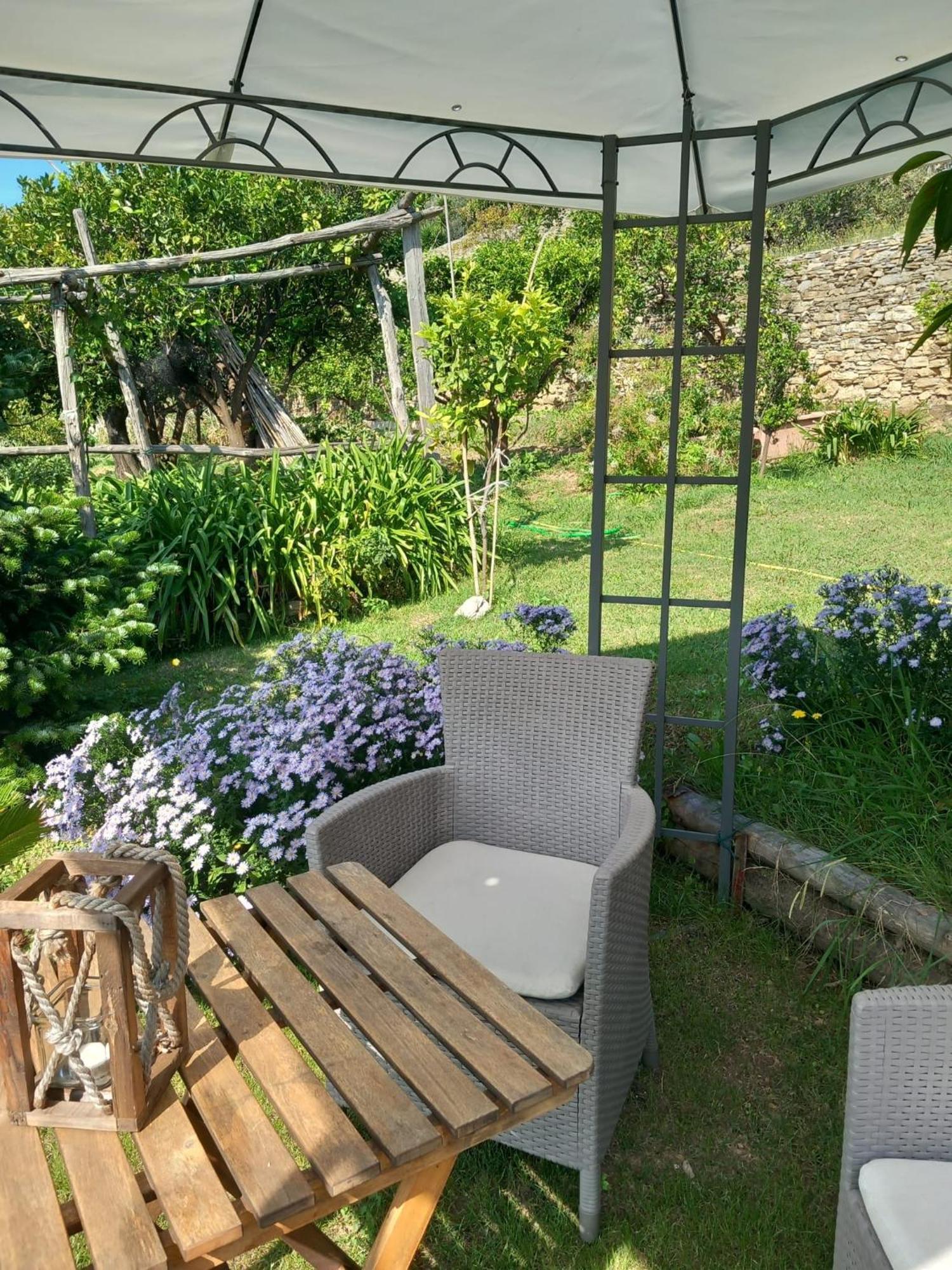La Depandance Della Nonna Apartment Camogli Bagian luar foto