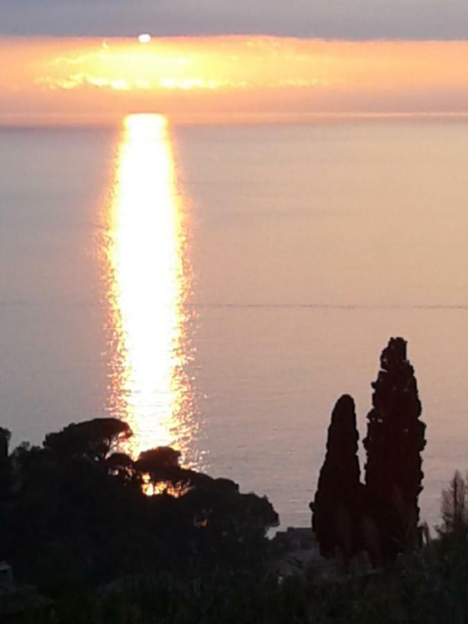 La Depandance Della Nonna Apartment Camogli Bagian luar foto
