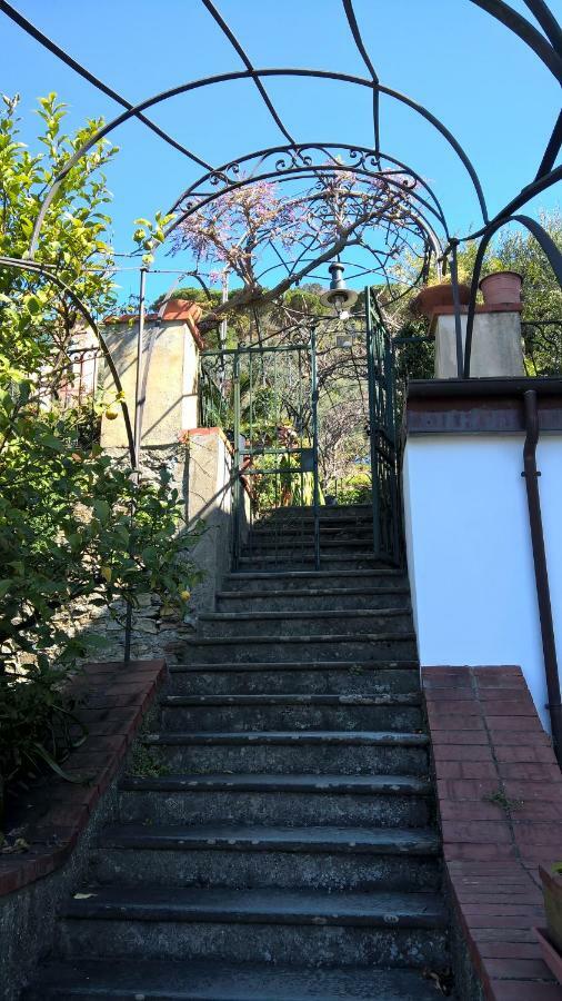 La Depandance Della Nonna Apartment Camogli Bagian luar foto