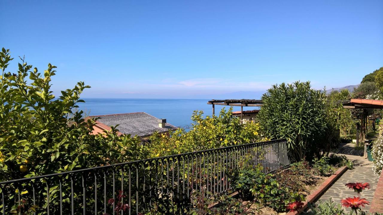 La Depandance Della Nonna Apartment Camogli Bagian luar foto